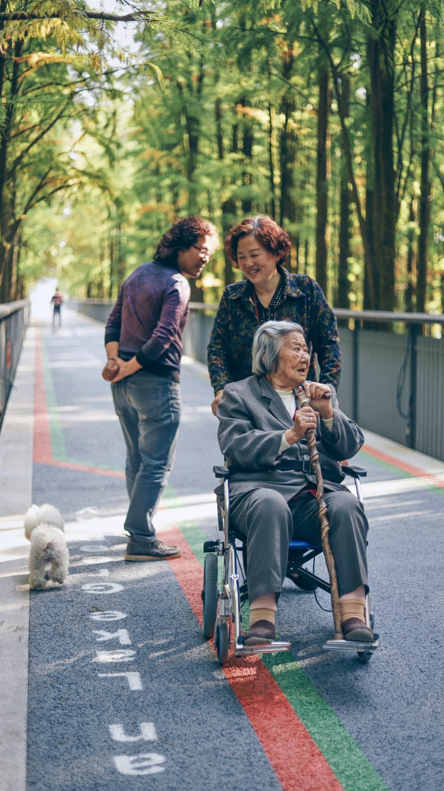 Ensuring a Safe Environment for Seniors